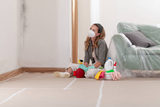 Reliable Mold Inspection And Testing contractor in Camas, WA by Car Mold Remediation